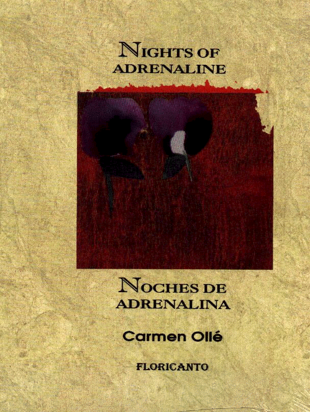 wpe7.gif (315441 bytes)