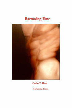 Borrowingtimecover